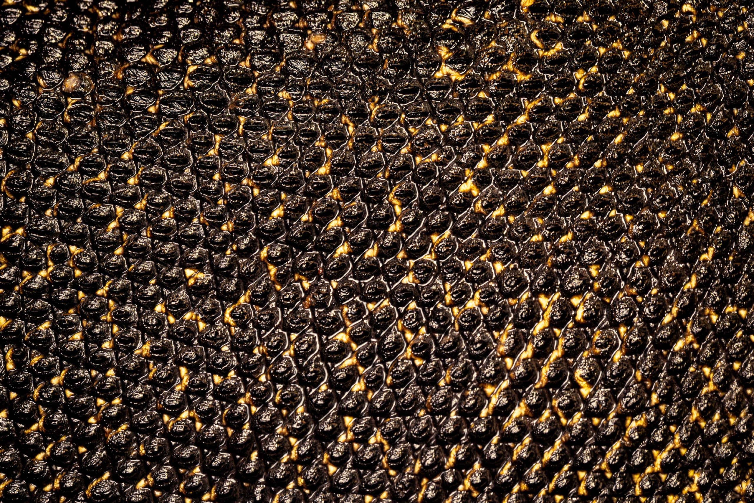 Scales texture