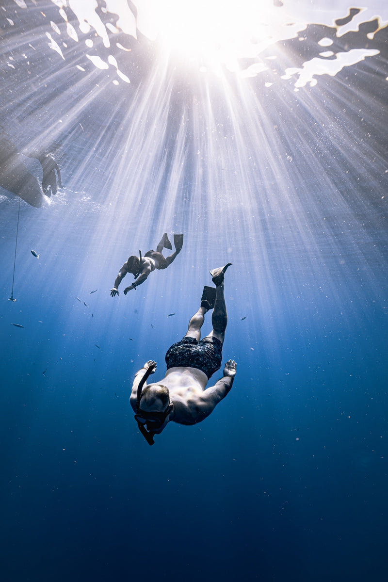 La Paz — Magdalena Bay Sardine Run